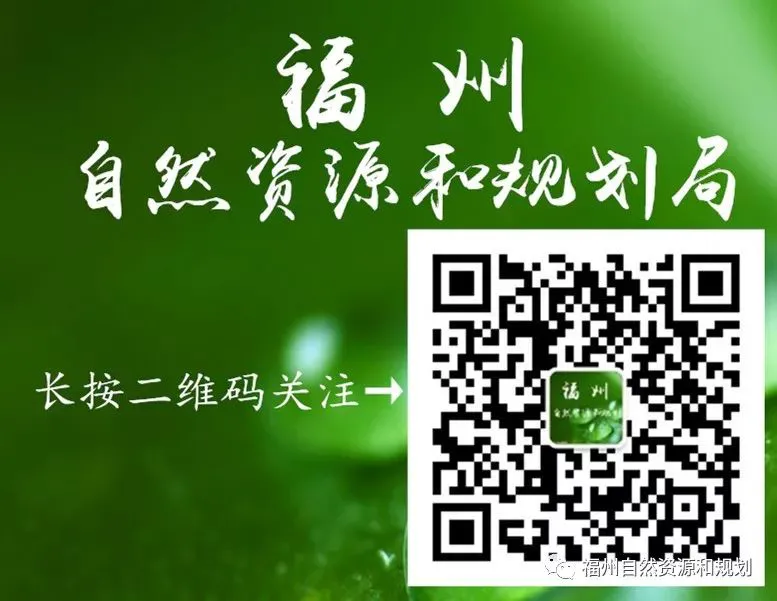 如何选择适合篮球康复训练的器材_1